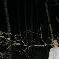 Пальмы под Напалмом