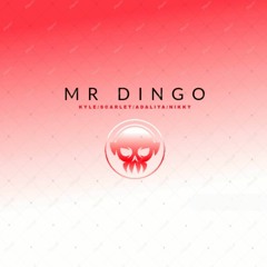 Mr Dingo