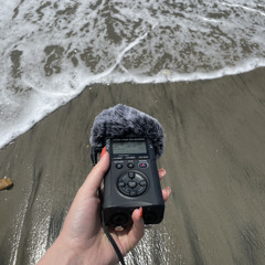 𝒜𝒾𝓈𝓁𝒾𝓃𝓃