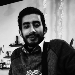 Anas hegazy