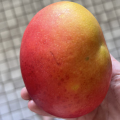 mangomango