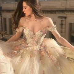 Abeer Abod