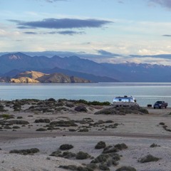 MOHAMED HASSAN ABDELWAHAB