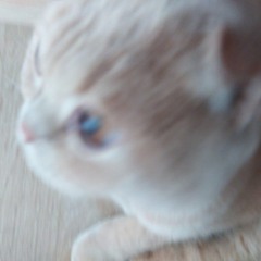 NoName