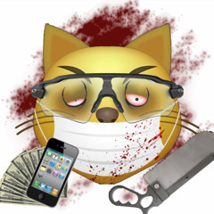 kittydoc