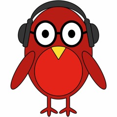 Audio Birdi