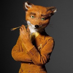 Mr.Amazing Fox