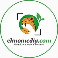 elmomedia