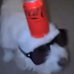 silly little guy