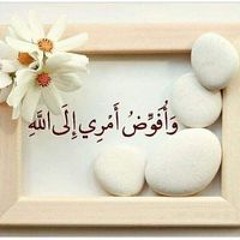 Shymaa Mohamed Saadoun
