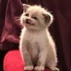 ffssoocciieettyy