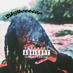 BigScooter