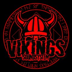 VIKINGS SOUND SYSTEM