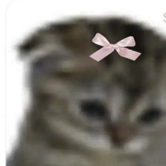lusia666