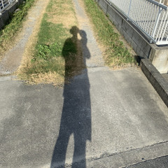 kzs_SIT