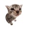 Raizy