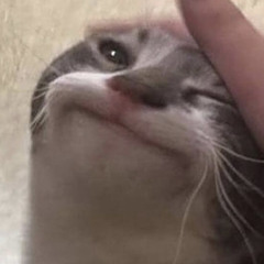 xxx