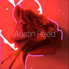 Austin Reed (US)