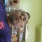 jose
