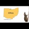 ohio_rat