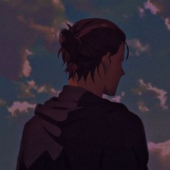 AMIR_phantom