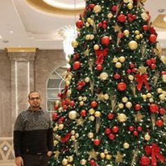 Amir Hafez