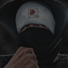 L3 Goosy