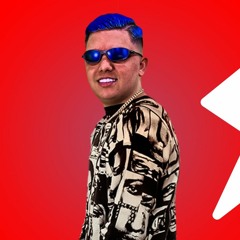 Ela Gosta Disso - MC Davizinho ( DJ 2D NO BEAT )