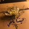 تقي ابو النصر