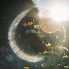 🦋