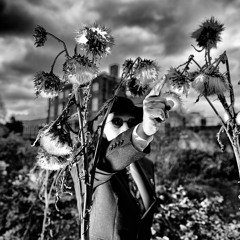 MAJOR BRABY (Mark W Braby Music)