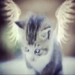 lenka;3