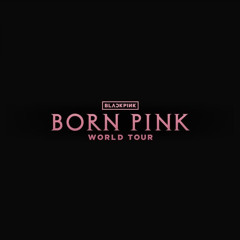 BLACKPINK ‘VCR 3 | Last VCR’ Born Pink.m4a