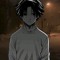113pp