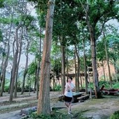 Công Chiến 12