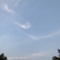1slidethebluegray7