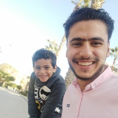 Ahmed M. Sallem