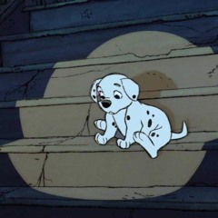 ® rothschild family series