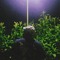 dityx._