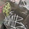 Vagales666