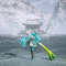 Vinh D_arc