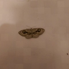 Incesaz Mazi Kalbimde Bir Yaradir