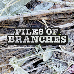 Piles of Branches