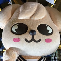strayteez
