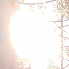 the sun god RA