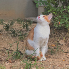 정민