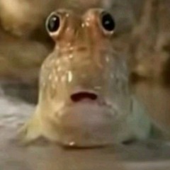 HodenVerdichtungsHydraulik