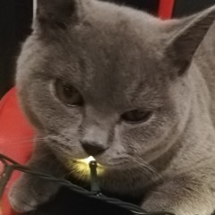 WagWan