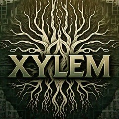 Xylem/ Imbedded