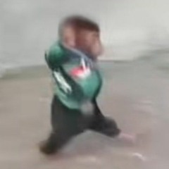 zengy